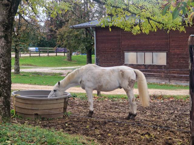 Ă vendre pour loisirs