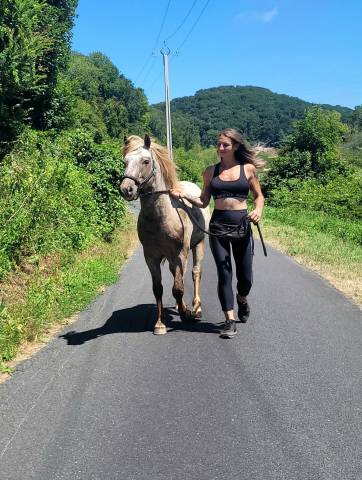 Nëbraska spotted : etalon poney appaloosa reproducteur