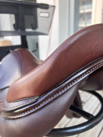 Selle equeen saddle