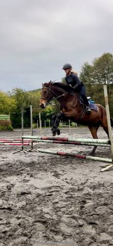 Recherche d’alternance rentre 2026 