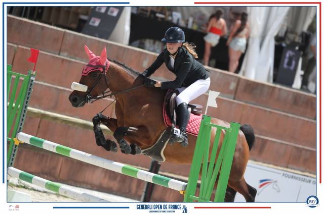 à vendre – poney sport cso - 10 ans