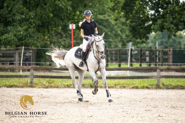 Shere khan du banney x cento