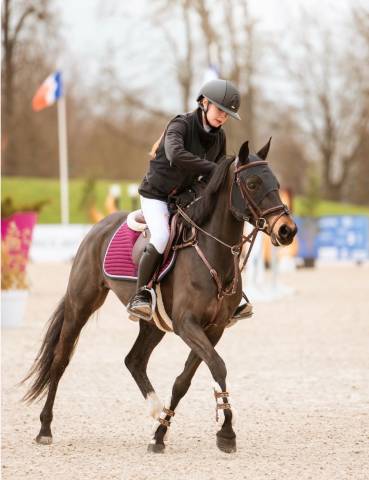 Poney à louer
