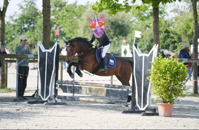 Location ponette d 