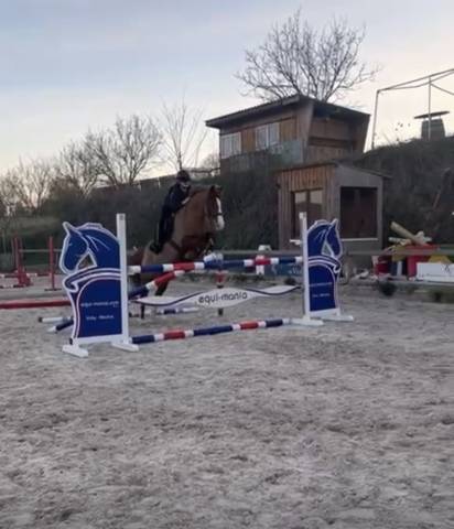 Ă vendre super poney p1/p elite