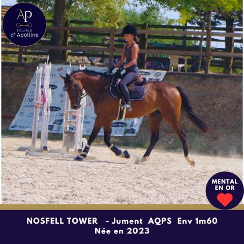 Superbe aqps top mental 
