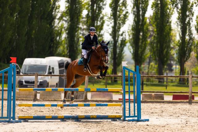 Jument 9 ans par andiamo semilly 