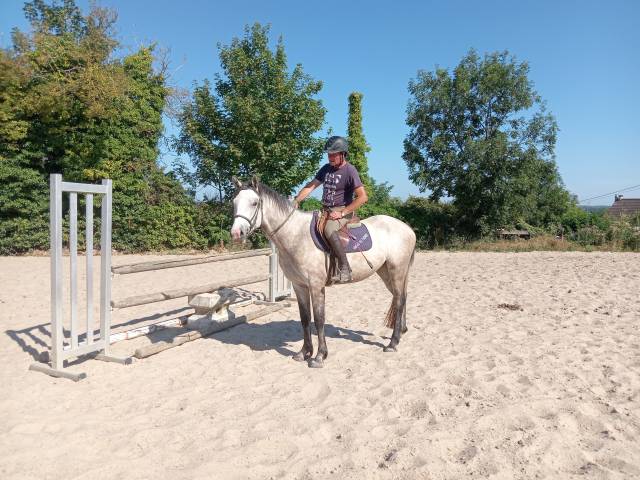 Ponette de 3ans à vendre