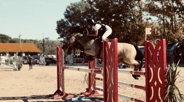 Poney d’as à vendre