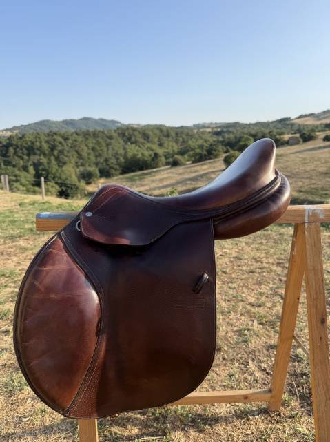 Selle mixte gbs