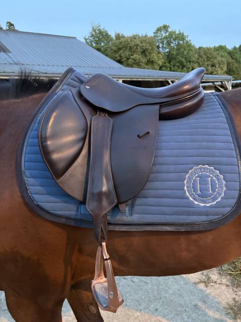 Selle cwd se02 – 17,5 – très bon état
