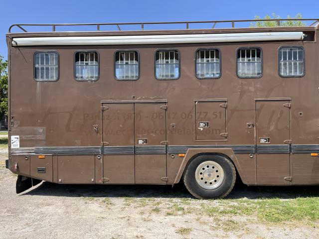 Camion 8 chevaux/ chardron/home car