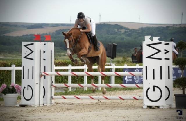 Hongre alezan crins lavés sf polyvalent cso/dress