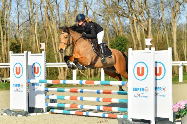 Poneys a vendre