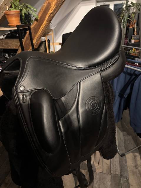 Selle forestier 17 aachen 2a