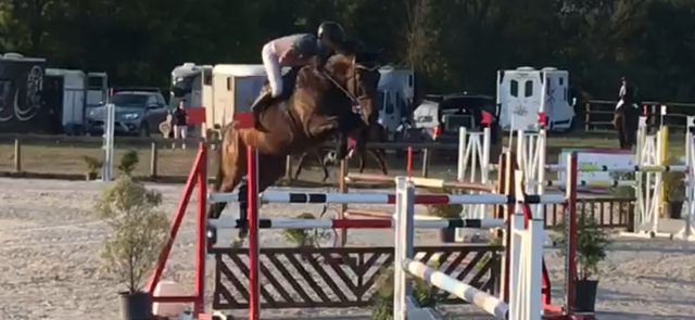 Sf 11 ans classé gagnant 120/125