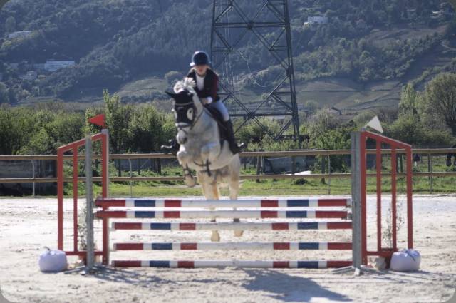 ⭐️ jolie cheval polyvalent⭐️