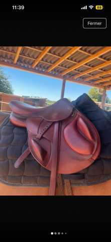 Selle platinum modèle lucyfer 2025 17 pouces