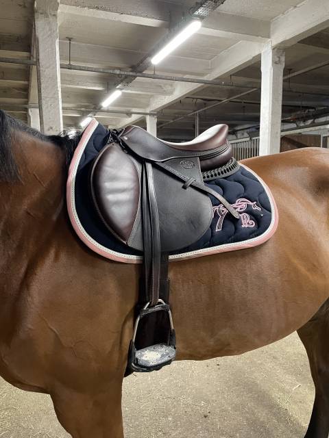 Selle éric thomas x antares