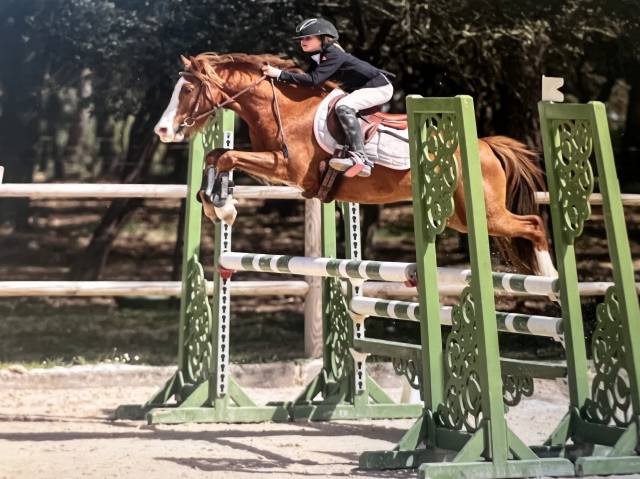 Poney b a vendre 