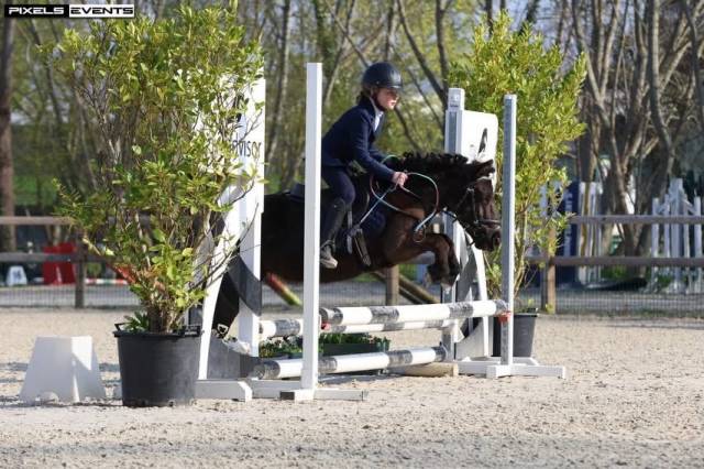Demi-pension blackpearl d’upapie, shetland pp 15 ans