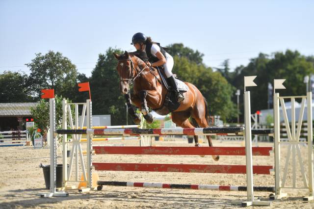 Cavalière maison/concours, groom