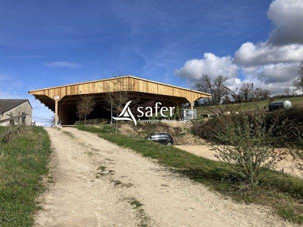 Poney club et centre equestre en montagne thiernoise