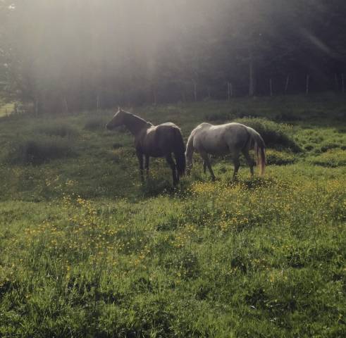 à louer – secteur entre-deux-mers / le pout (gironde - 