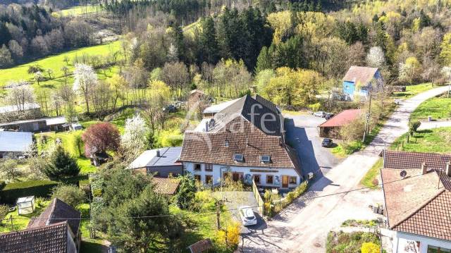 Propriété à potentiel équestre au coeur du massif des vosges