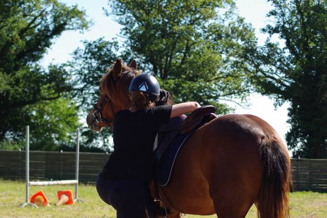 Ponette d'avenir 