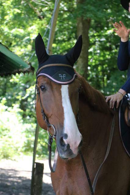 à vendre 7 ans avec des moyens, à finir de former