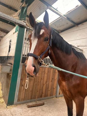Warco de wemmel, 4 ans 