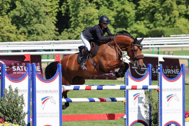 Jument de sport cso