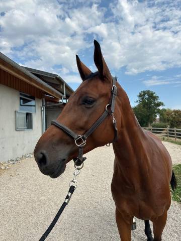 Lilith des lilas 5ans