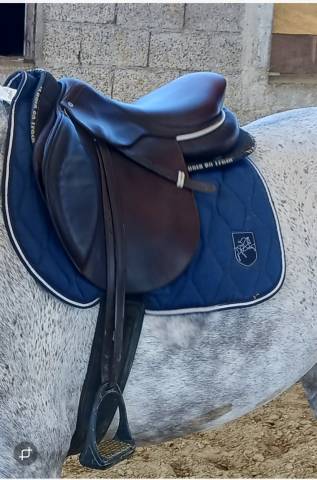 Selle gbs 17,5