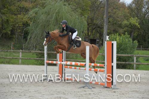 Ponette sport 