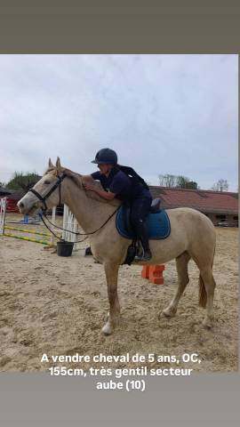 Vends cheval oc