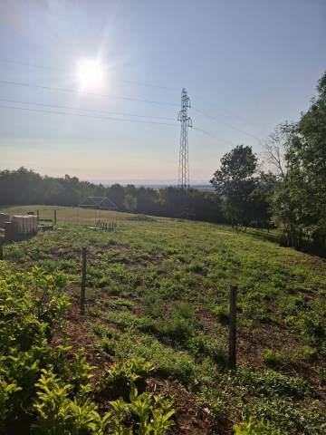 ? location d’un terrain pour chevaux – couzon-au-mont-