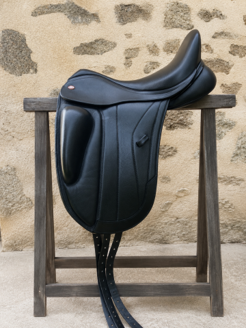 Kent and masters compétition dressage monoquartier 17