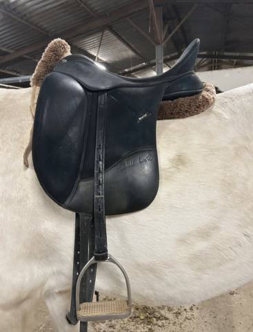 Selle isabell werth dressage