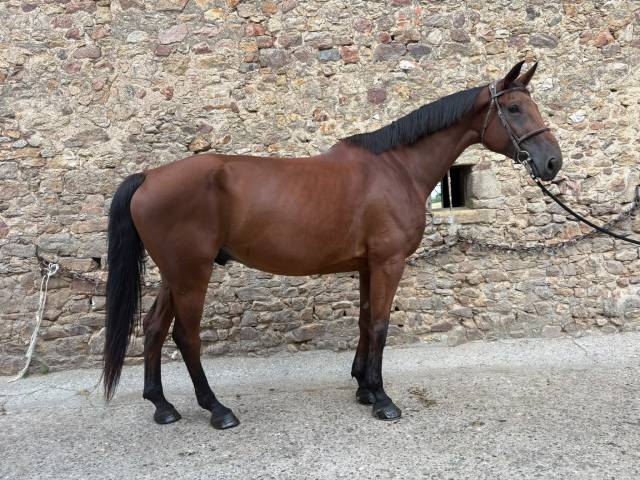 Jupiter de flair