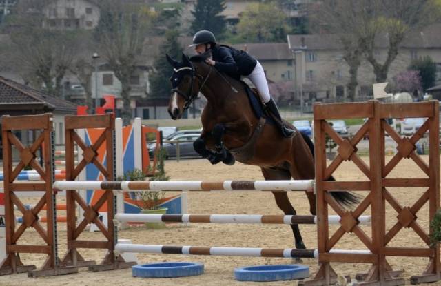 Recherche emploi cavalier maison 