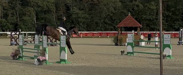 Cheval de sport 8 ans tourne actuellement 125/130