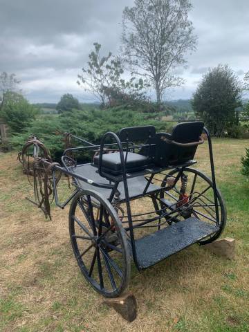 Attelage poneys