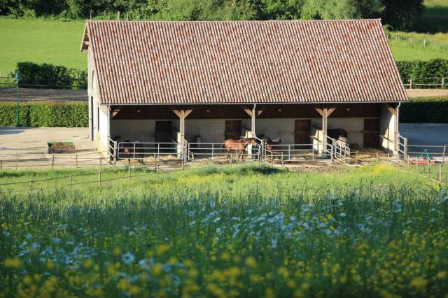 5 places disponibles pension pré/abri