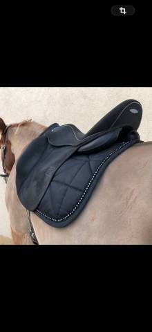 Selle de dressage childeric 18 2019 