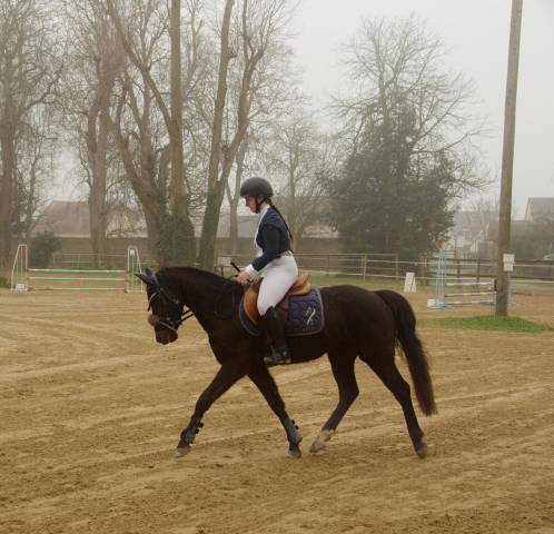 Poney par daho du paradis