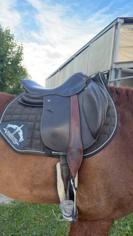 Selle mondange sport 