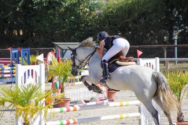 à vendre – ponette de sport – 6 ans – 1m49