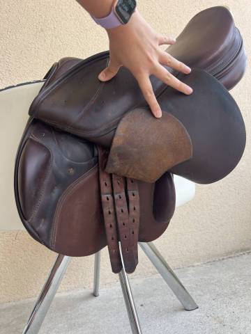 Selle mixte prestige